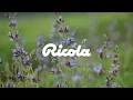 Commercial | AE | RICOLA