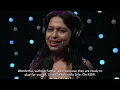 Usted Señalemelo - Full Performance (Live on KEXP)