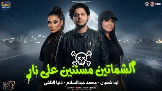 الشماتين مستنين على نار   مرضيش بالعيشه   دنيا الالفى   ايه شعبان   محمد عبسلام ترند  شعبى      دندنها