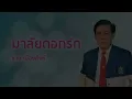 มาลัยดอกรัก - ชาย เมืองสิงห์  (Official Audio)