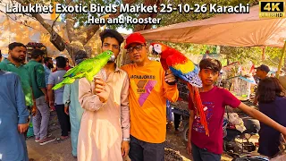 Lalukhet Exotic Bird Market 25-10-26 Part 1 Karachi Unique Parrot and Hen and Rooster and Chicks