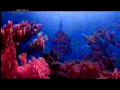 RCTI Djarum Black 23 16