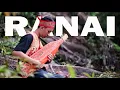 Download Lagu Ranai - Ishak Kurniawan (Video Official)
