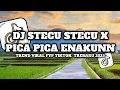 Download Lagu DJ STECU STECU X PICA PICA ENAKUNN(TREND VIRAL FYP TIKTOK TERBARU 2025)
