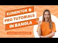 How To Use Elementor Pro Code Highlight Widget in Wordpress Elementor Pro Tutorials in Bangla