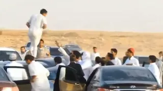 مضاربه كنق النظيم دندنها