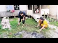 Download Lagu Sudah pemasangan plin, satu persatu sudah mulai berdatangan
