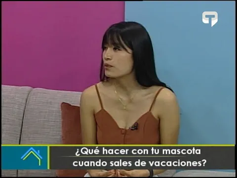 ¿Qué hacer con tu mascota cuando sales de vacaciones?