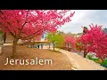 Download Lagu De Botanische Tuinen van Jeruzalem is een van de grootste botanische tuinen in Israël