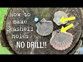 How to put a hole into a shell NO drilling Seashell holes made easy