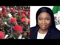 Download Lagu ABIKE DABIRI CALLING IGBOS MONKEY SHOWS HER LEVEL OF BIGOTERY - DEJI ADEYANJU SL@MA HER