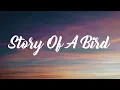 STORY OF A BIRD ||Alan Walker X KING|| (Full Lyrics Video)