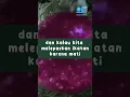 Download Lagu JANGAN TUNGGU MATI, BARU KITA... #shorts