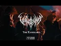 Download Lagu Vulvodynia -The Randlord (Official Video)