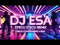 Download Lagu DJ ESA – STECU STECU Remix  Disco x Synthwave x EDM