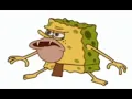 Spongebob gif from WhatsApp