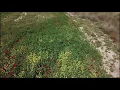 Download Lagu Luzit cave \u0026 Mitzpe Masuha taken with mavic pro