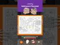 Print Your Own Halloween Placemat Free Activity Sheet Free Printables