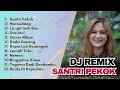 Download Lagu FULL ALBUM DJ REMIX| Irenne Ghea - Santri Pekok - Haerudang