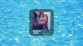 DANELIYA - northern lights (Lyric Video)