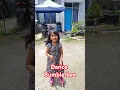 Download Lagu masih belajar #bumblebee #fuji #trend #shorts