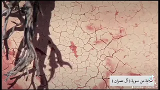 تلاوة من سورة آل عمران للقارئ عبدالرحمن أبو القاسم جدة حي الشاطئ 