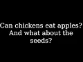 Can chickens eat apples and what about the seeds