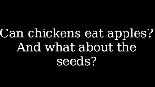 Can chickens eat apples and what about the seeds