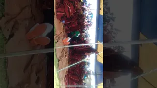 hlalele le mokatla makoloane a qoqolosing 