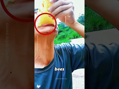 Este Hombre Siempre Ha Protegido A Estas Abejas 🥺🐝 #shorts