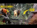 Muzzleloader VS Bow - BIG BULL at 40 Yards