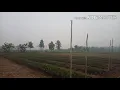 Download Lagu abang ku,jauh lagu jambi.