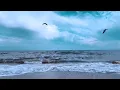 Download Lagu Suara OMBAK laut \u0026 kicau burung camar | terbaik untuk pikiran tenang