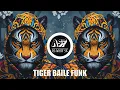 Download Lagu Tiger Dhun – Brazilian/Baile Funk Type Beat | DJ Aasif SK