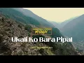 Download Lagu Melina Rai Mabindra Rai | Ukali Ko Bara Pipal | Jau Maya Dadai Katera | New Nepali Song