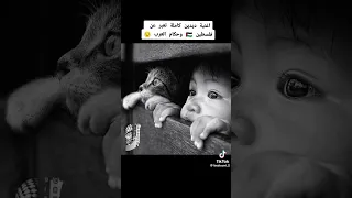 ديدين كلاش يدعم فلسطين 