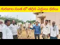 Download Lagu 10/2/2025 #ఎద్దులు రేట్లు #cattle-market #gurazalasantha #గురజాలసంత #bullsmarket #indianbulls 