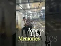 Download Lagu Poppies Land Memories
