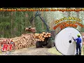 Download Lagu PROSES PERKEBUNAN PINUS DAN EUKALIPTUS |POHON BAHAN BAKU KERTAS DAN PROSES PENGOLAHNYA