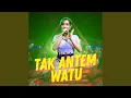 Download Lagu Tak Antem Watu