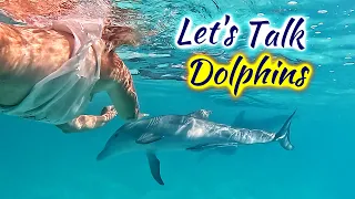 SDA221 Let’s Talk Dolphins: Sidetracked by Mama & Baby