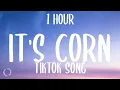it s corn TikTok Song it s corn a big lump of knobs