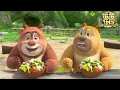 Download Lagu 熊熊樂園 😯俺不想吃蔬菜！ | Boonie Cubs