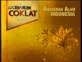 RCTI Djarum Coklat 00 23