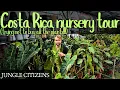 I visited a local plant nursery in Costa Rica and it was AMAZING