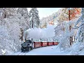 Beautiful Relaxing Music Calm Winter Melodies for Stress Relief Emotional Healing