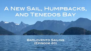 New Sail, Humpbacks, and Tenedos Bay (Episode 20)   4K