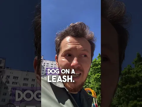 How to make remark #dogtraining
