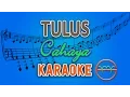 Download Lagu TULUS - Cahaya (Karaoke) | GMusic