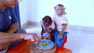 Mother cooking Delicious For  icy and bray-an  #monkey